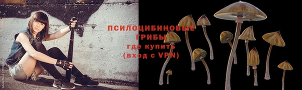 твердый Горнозаводск