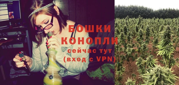 твердый Горняк