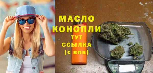 твердый Горняк