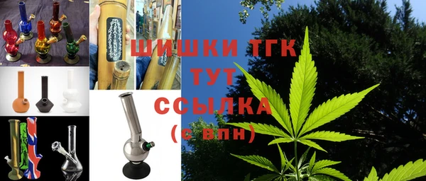 твердый Горняк