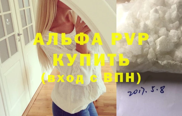 СК Бердск