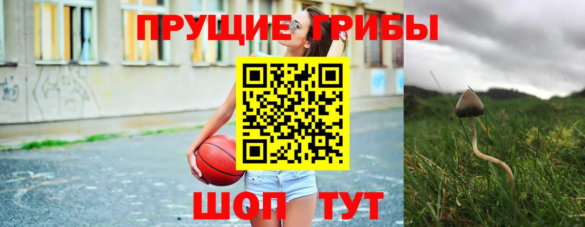 Псилоцибиновые грибы MAGIC MUSHROOMS  Вход с VPN  где продают   Горно-Алтайск 