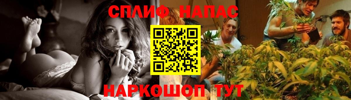 Бошки марихуана VHQ  Бошки марихуана конопля  Горно-Алтайск  Бошки марихуана планчик  Каннабис тримм 